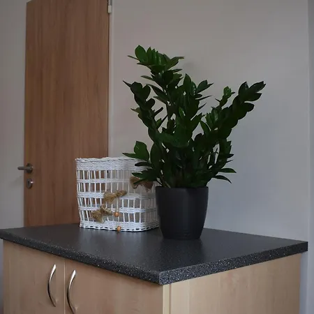 Apartment Lipa Tabor