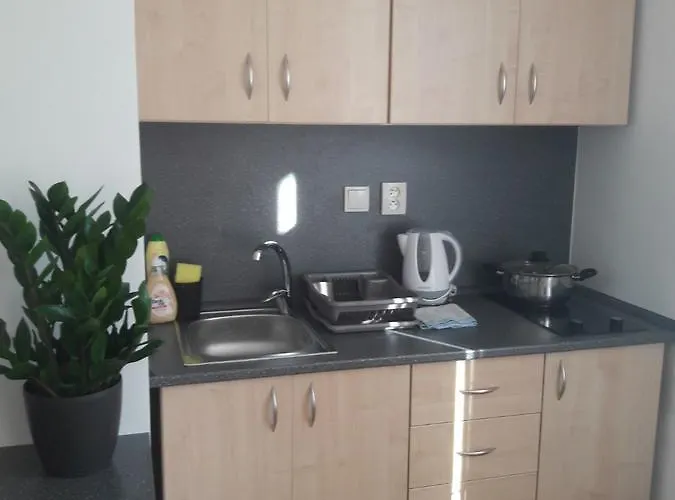 Apartmán Lípa *