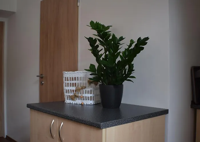 Apartmán Lípa Tábor