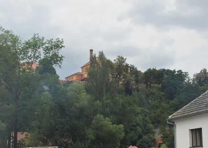 Lípa Tábor